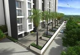 project-img