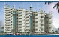 project-img