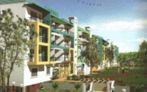 project-img