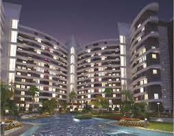 project-img