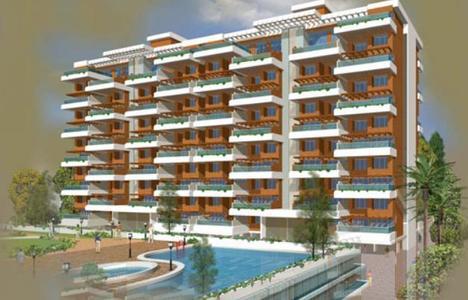 project-img