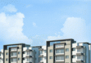 project-img