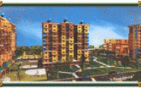 project-img