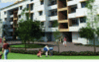project-img