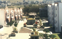 project-img