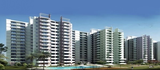 project-img