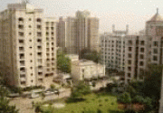 project-img